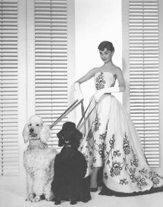 Fotografie de artă Audrey Hepburn, (30 x 40 cm)