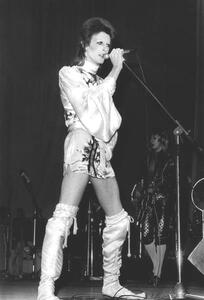 Fotografie de artă David Bowie on Stage (Ziggy Stardust Tour) 1973, (26.7 x 40 cm)