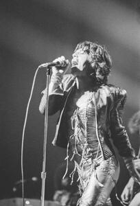Fotografie Rolling Stones, 1973