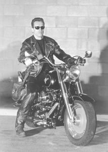 Fotografie de artă Terminator 2, (30 x 40 cm)