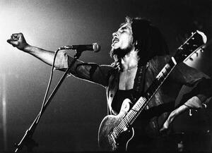 Fotografie Bob Marley, (40 x 30 cm)