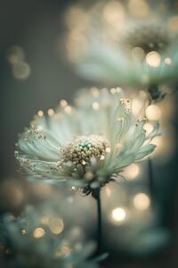Fotografie de artă Mint Flower, Treechild, (26.7 x 40 cm)