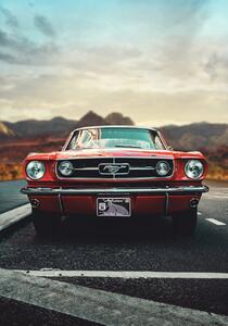 Fotografie Mustang Love, Fadil Roze, (26.7 x 40 cm)