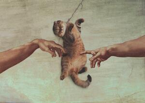 Ilustrare Touch of the Kitty, Artem Pozdniakov, (40 x 30 cm)