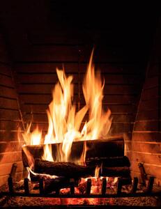Fotografie Fireplace burning wood logs, cozy warm home christmas time, Rawf8, (30 x 40 cm)