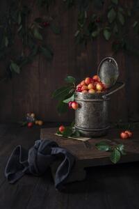 Fotografie de artă Yellow cherries, Diana Popescu, (26.7 x 40 cm)
