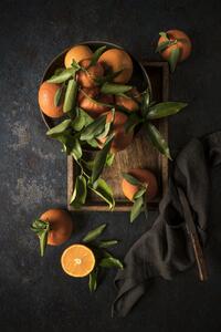 Fotografie de artă Oranges, Diana Popescu, (26.7 x 40 cm)