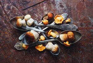 Fotografie de artă SpoonsaWild mushrooms, Aleksandrova Karina, (40 x 26.7 cm)