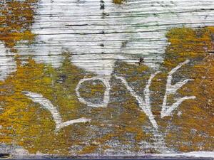Fotografie de artă Love Text In Lichen, liveslow, (40 x 30 cm)