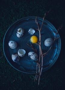 Fotografie de artă Eggs, Aleksandrova Karina, (30 x 40 cm)