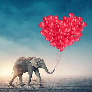 Fotografie de artă Elephant with red balloons, egal, (40 x 40 cm)