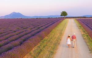 Fotografie de artă Couple walking on roadway between lavender fields, Shaun Egan, (40 x 24.6 cm)