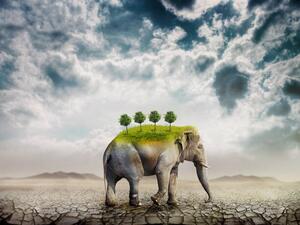 Poster de artă The elephant (symbol of ecology) in the desert, red-feniks, (40 x 30 cm)