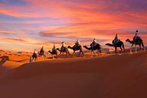 Fotografie de artă Camel caravan going through the Sahara, Nisangha, (40 x 26.7 cm)