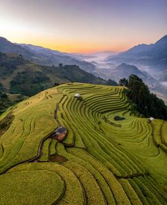 Fotografie de artă Rice fields on terraced prepare the, Vu Viet Dung, (35 x 40 cm)