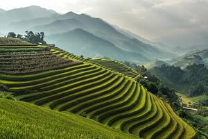 Fotografie de artă Rice fields on terraced of Mu, wiratgasem, (40 x 26.7 cm)
