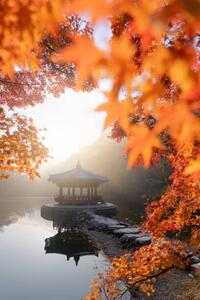 Fotografie de artă Beautiful Autumn scene of Naejangsan national, Twenty47studio, (26.7 x 40 cm)