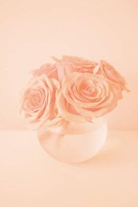 Fotografie de artă Roses in the color of 2024 year Peach Fuzz, Anna Blazhuk, (26.7 x 40 cm)