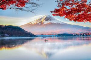 Fotografie de artă Fuji Mountain , Red Maple Tree, DoctorEgg, (40 x 26.7 cm)