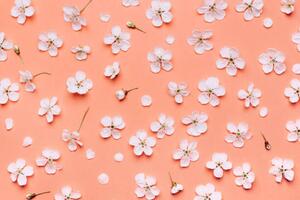 Fotografie de artă Beautiful floral wallpaper., Anna Efetova, (40 x 26.7 cm)