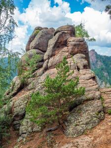 Fotografie High forest rocks for advanced hiking, Vadim Serebrenikov, (30 x 40 cm)