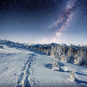 Fotografie de artă starry sky in winter snowy night., standret, (40 x 40 cm)