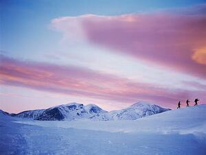 Fotografie de artă Group Snowshoeing in Snow, David Trood, (40 x 30 cm)