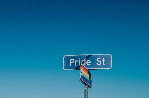 Fotografie de artă American road sign displaying 'Pride Street', Catherine Falls Commercial, (40 x 26.7 cm)