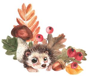 Fotografie Corner composition of hedgehog, mushrooms, falling, Tatyana Apt, (40 x 40 cm)
