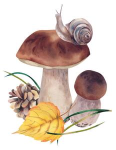 Fotografie Porcini mushrooms with autumn leaves, snail, Marina Skryzhova, (40 x 40 cm)