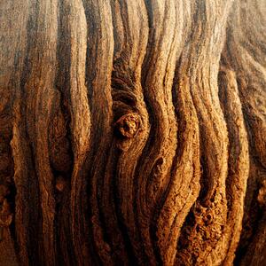 Fotografie de artă Image Of Tree Bark Texture, Nenov, (40 x 40 cm)