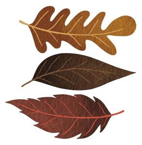 Fotografie de artă Three brown fall leaves watercolor illustration, ToBeeLife, (40 x 40 cm)