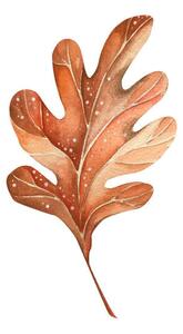 Fotografie A beautiful autumn watercolor oak leaf, Lidiia Biktimirova, (40 x 40 cm)