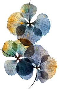 Fotografie de artă Pressed and dried dry flower, andersboman, (26.7 x 40 cm)