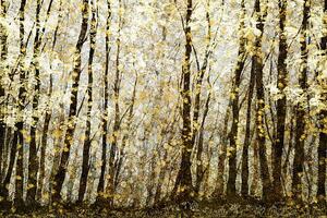 Ilustrare Forest filed with golden autumn leaves, Andrew Bret Wallis, (40 x 26.7 cm)