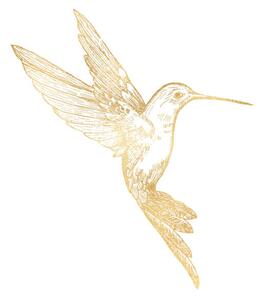 Ilustrare Gold Bee Hummingbird Isolated. Hand Painted, Gokcemim, (40 x 40 cm)