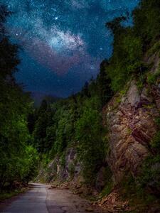 Fotografie de artă Trees by road against sky at night,Romania, Daniel Ion / 500px, (30 x 40 cm)