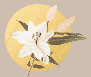 Ilustrație Lily flower pattern with golden metallic, Svetlana Moskaleva, (40 x 24.6 cm)