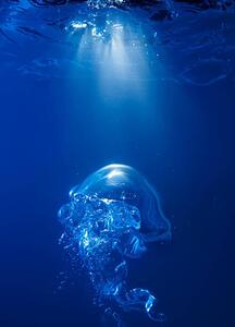 Fotografie Bubble on spot light in blue water, Biwa Studio