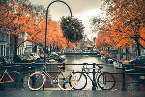 Fotografie de artă View of canal in Amsterdam during Autumn Season, Umar Shariff Photography, (40 x 26.7 cm)