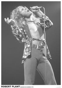 Poster Led Zeppelin - Robert Plant March 1975 (colour)