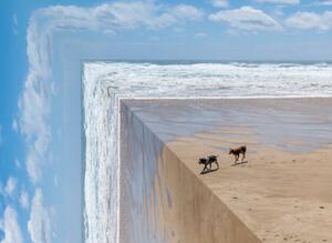 Ilustrație Perspective bending image of two dogs on a beach, ImagePatch, (40 x 30 cm)