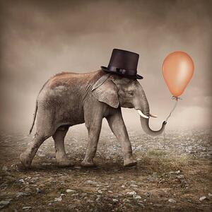 Ilustrare Elephant with a balloon, egal, (40 x 40 cm)