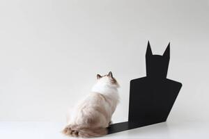 Ilustrație Conceptual ragdoll cat looking at bat shadow, pchyburrs, (40 x 26.7 cm)