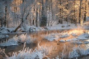 Fotografie Morning by a frozen river in winter, Schon