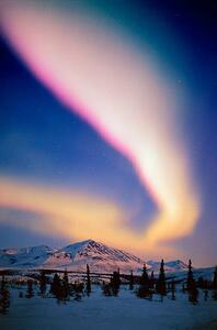 Fotografie USA, Alaska, Alaskan Range, Aurora Borealis, Johnny Johnson, (26.7 x 40 cm)