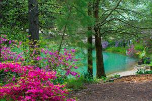Fotografie Spring FLowers -and Lake view--Gibson County, William Reagan