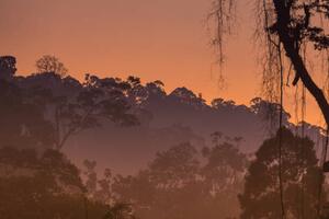 Fotografie Morning view of Endau Rompin National, shaifulzamri, (40 x 26.7 cm)