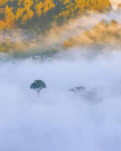 Fotografie de artă lonely tree in the fog with, Khanh Bui, (30 x 40 cm)
