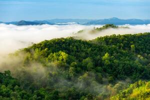 Fotografie Beautiful mist over green forest on mountain., NirutiStock